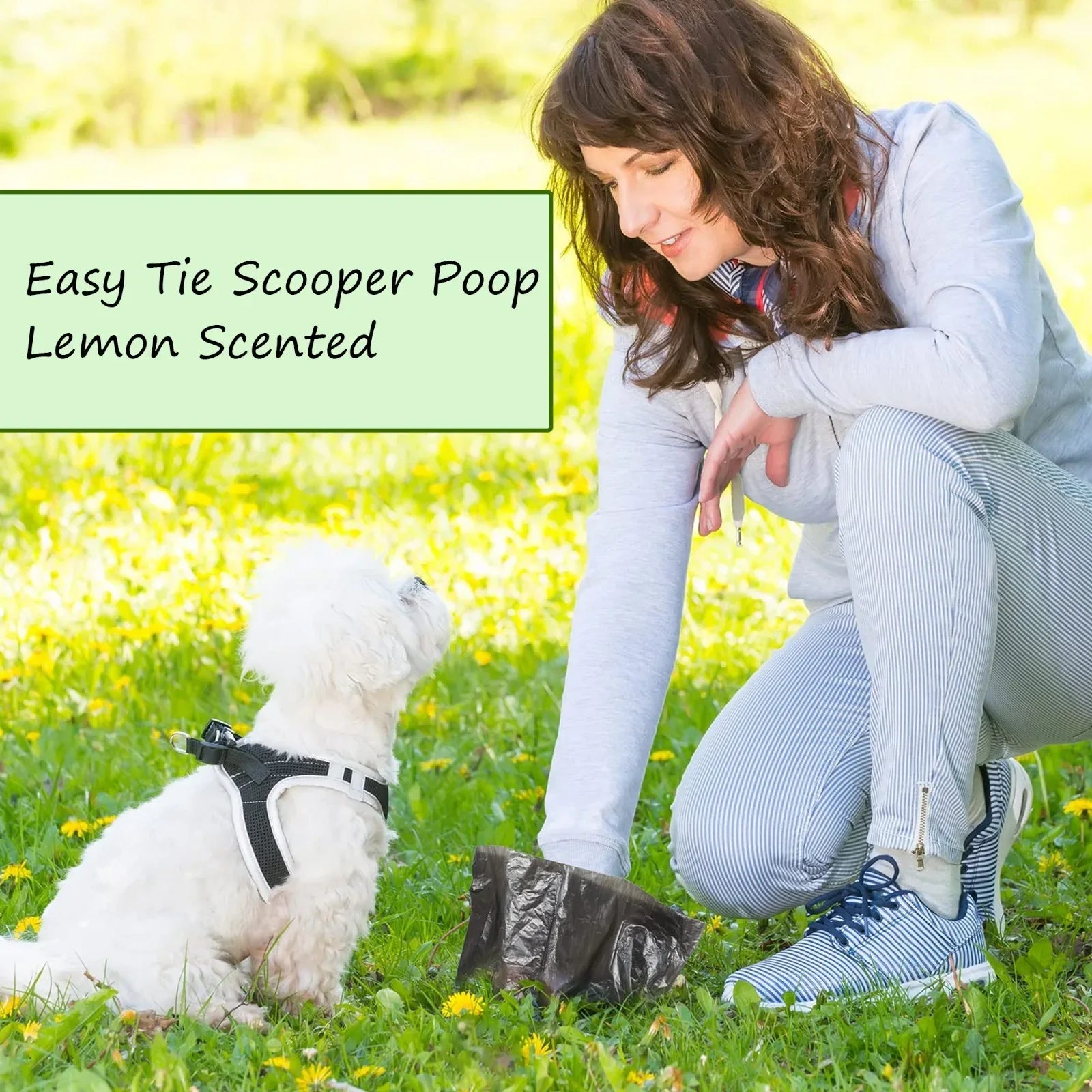 Mode Blend Tidyz Lemon Scented Premium Degradable Doggy Poo Bags with Strong Tie Handles, 3 Pack, 300 Bags - Perfect for your pet's poop clean-up - Mode Blend